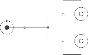 SpeaKa Professional SP-7869820 Cinch Audio Y-Adapter [1x Cinch-Stecker - 2x Cinch-Buchse] Schwarz