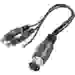 SpeaKa Professional SP-7870284 Cinch / DIN-Anschluss Audio Y-Adapter [1x Diodenstecker 5pol (DIN) - 2x Cinch-Buchse] Schwarz
