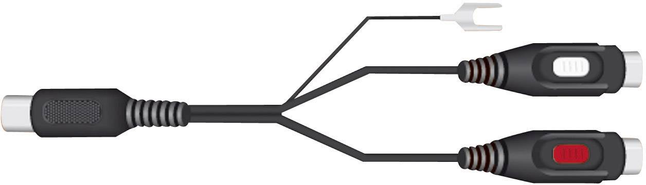 Audio-Adapterkabel: Eine Mini-DIN-Buchse wird auf zwei RCA-Stecker aufgeteilt, mit einem zusätzlichen Draht mit einem Gabelkabelschuh.