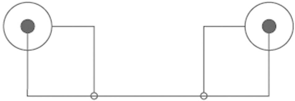 SpeaKa Professional Composite Cinch Video Anschlusskabel [1x Cinch-Stecker - 1x Cinch-Stecker] 5.00m Schwarz