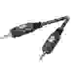 SpeaKa Professional Klinke AV Anschlusskabel [1x Klinkenstecker 3.5mm - 1x Klinkenstecker 3.5 mm] 2.50m Schwarz