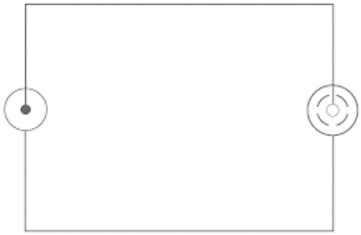 SpeaKa Professional SP-7869896 Cinch / BNC Adapter [1x Cinch-Stecker - 1x BNC-Buchse] Silber