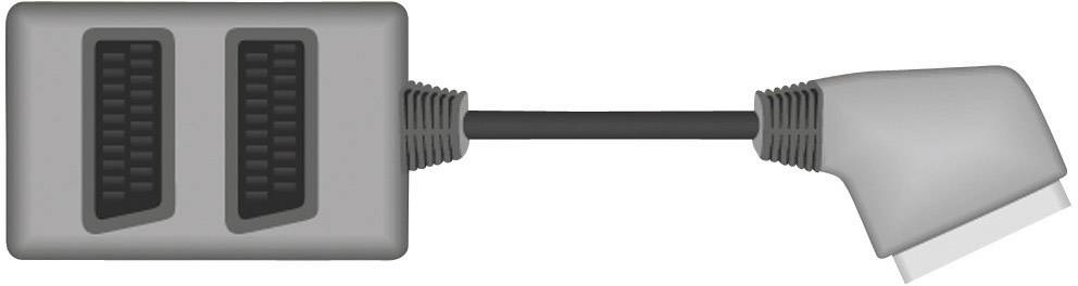 SpeaKa Professional SCART TV, Monitor Y-Adapter [1x SCART-Stecker - 2x SCART-Buchse] 20.00 cm Schwarz