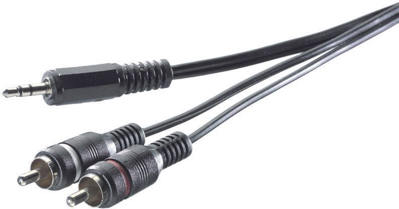 Ein Audiokabel mit einem 3,5-mm-Stecker auf einer Seite und zwei Cinch-Steckern (rot und weiß) auf der anderen Seite.