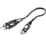 SpeaKa Professional SP-7869924 Cinch Audio Y-Adapter [2x Cinch-Stecker - 1x Cinch-Buchse] Schwarz