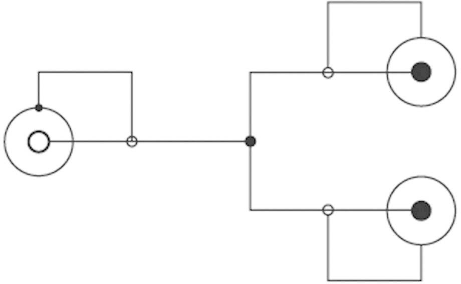SpeaKa Professional SP-7869924 Cinch Audio Y-Adapter [2x Cinch-Stecker - 1x Cinch-Buchse] Schwarz