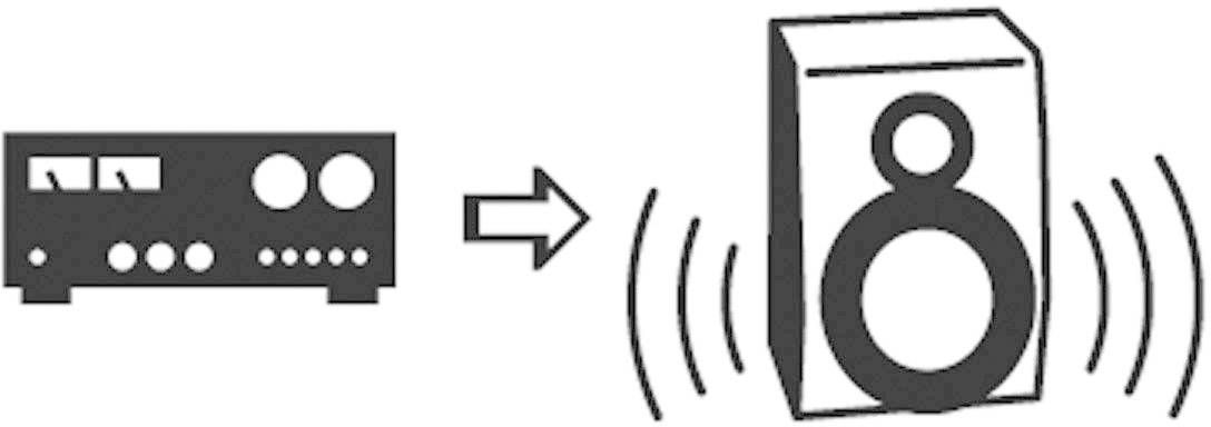 SpeaKa Professional SP-7869924 Cinch Audio Y-Adapter [2x Cinch-Stecker - 1x Cinch-Buchse] Schwarz