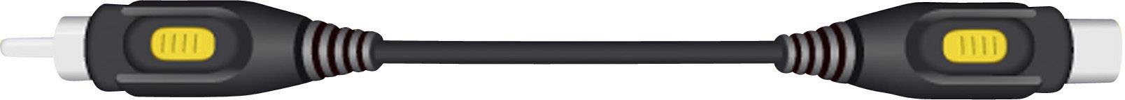SpeaKa Professional S-Video / Composite Cinch Video Anschlusskabel [1x S-Video-Stecker - 1x Cinch-Stecker] 5.00 m Schwarz