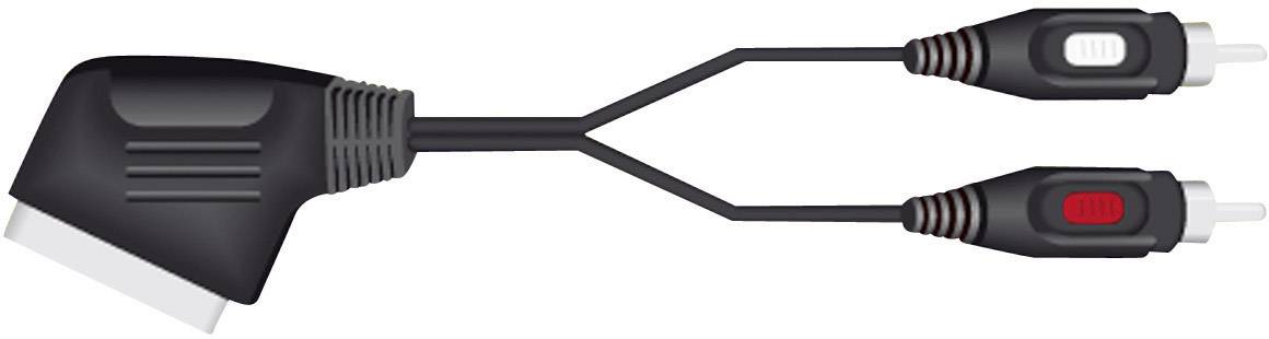 Ein SCART-Stecker, der sich in zwei Cinch-Stecker aufteilt, geeignet für die Verbindung von Audio- und Videogeräten.