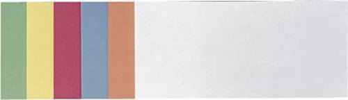 Franken Moderationskarte farbig sortiert rechteckig 9.5cm x 20.5cm 500 St./Pack. 500St.