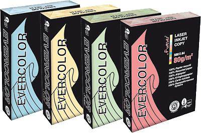 Clairefontaine Evercolor Intensiv 40027C Farbiges Druckerpapier DIN A4 500 Blatt Lindgrün
