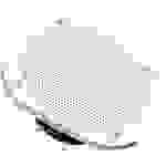 Visaton FRS 10 WP - 8 Ohm 4 Zoll 10cm Breitbänder 25W 8Ω Weiß Saunalautsprecher, Einbaulautsprecher, Seewasserbeständig