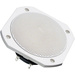 Visaton FRS 10 WP - 4 Ohm 4 inch 10 cm Wideband speaker 25 W 4 Ω White Sauna/steam room suitability, Recessed speaker