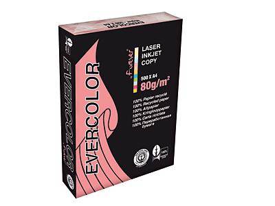 Clairefontaine Evercolor Pastell 40003C Farbiges Druckerpapier DIN A4 500 Blatt Rosa