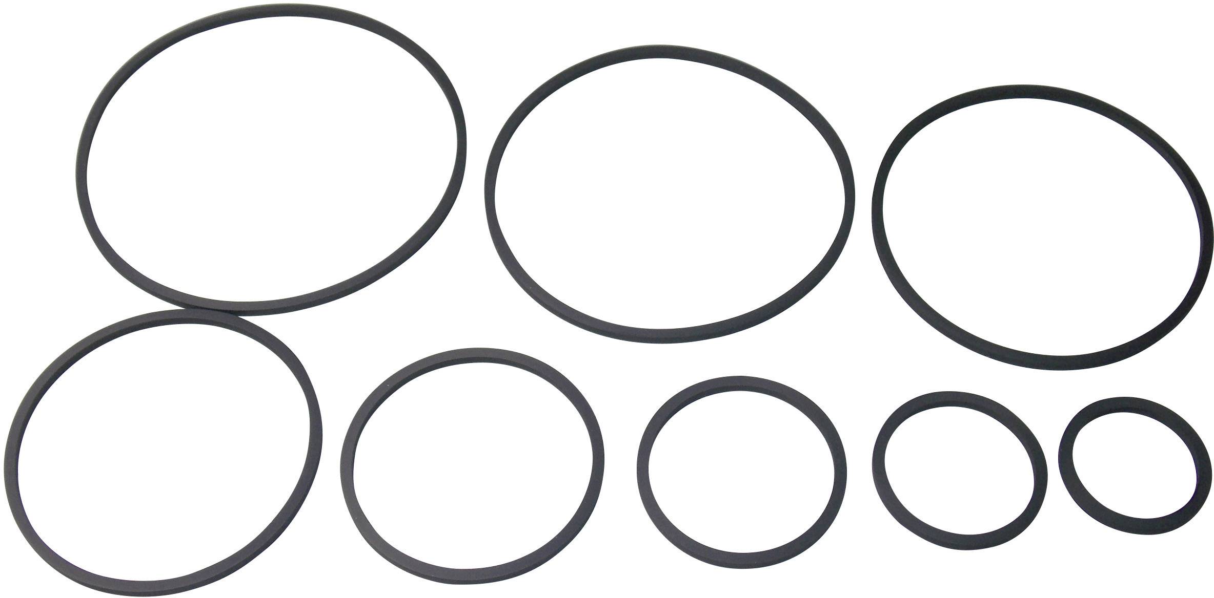 Acht O-Ringe in unterschiedlichen Größen, von groß bis klein, nebeneinander auf weißem Hintergrund angeordnet.