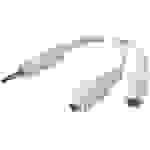 Belkin F8V234EAWHT-APL Klinke Audio Y-Adapter [1x Klinkenstecker 3.5mm - 2x Klinkenbuchse 3.5 mm, Klinkenbuchse 3.5 mm] Weiß