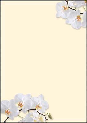 Sigel "White Orchid" DP904 Farbiges Druckerpapier mit Motiv DIN A4 50 Blatt Multi-Color