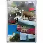 Franken BS0704 Bilderwechselrahmen Transparent, Silber (B x H x T) 624 x 871 x 12mm DIN A1 Franken BS0704 Bilderwechselrahmen Transparent, Silber (B x H x T) 624 x 871 x 12mm DIN A1