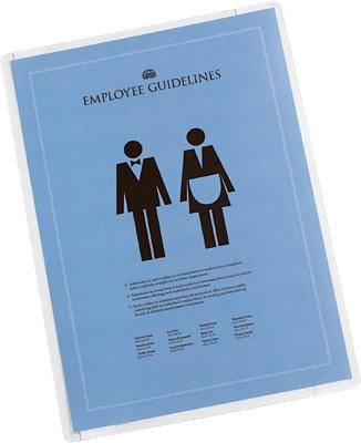 DURABLE Laminierkarten SEAL IT selbstklebend/8237-19 DIN A4 10 selbstklebend