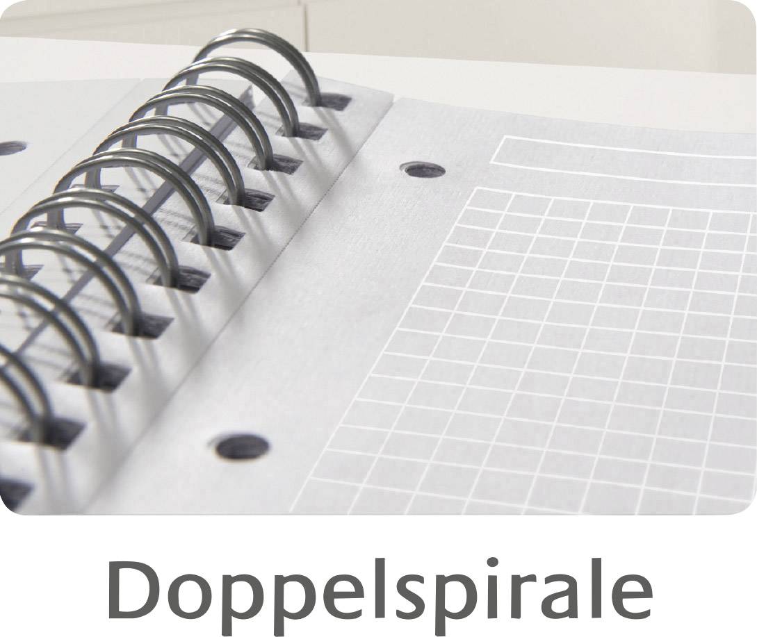 Avery Zweckform 7017 Kunststoff-Cover Notizbuch notizio, spiralgebunden, kariert, DIN A4, 90 g/m², 90 Blatt, grau