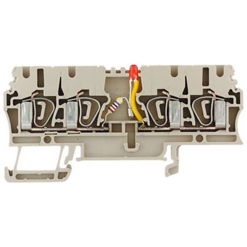 Weidmüller 1692590000 LED-Klemme Zugfeder Dunkelbeige 20 St.