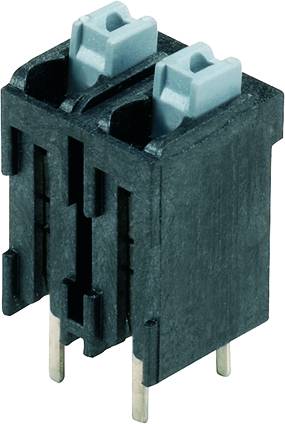 Zweipoliger schwarzer Kunststoffstecker mit zwei metallischen Pins und grauen Verriegelungen an der Oberseite.