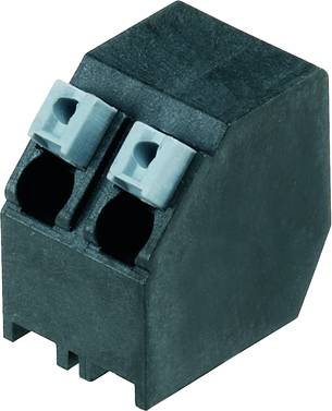 Ein schwarzer Steckverbinder mit zwei Anschlüssen, geeignet für elektrische Verbindungen in Schaltschränken oder Geräten.