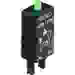 Weidmüller Steckmodul mit LED, mit Varistor RIM 4 6/24VUC GN Leuchtfarben: Grün 10 St.
