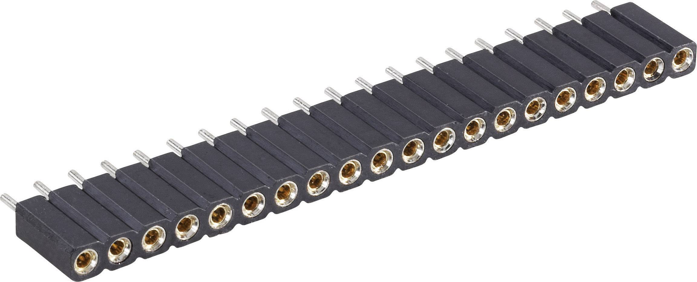 BKL Electronic Buchsenleiste (Präzision) Anzahl Reihen: 1 Polzahl je Reihe: 20 10120801