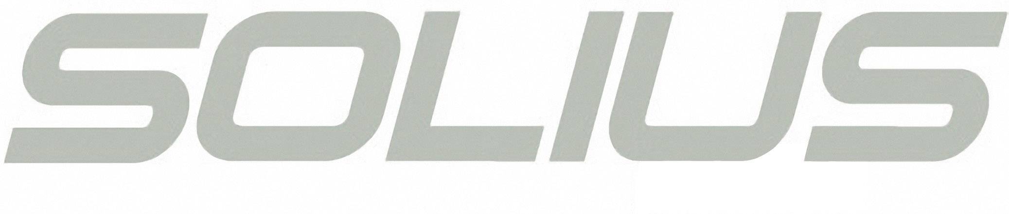 Multiplex Solius RC Segelflugmodell Bausatz 2160mm