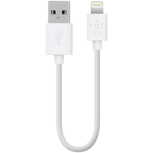 Belkin iPad/iPhone/iPod Datenkabel/Ladekabel [1x USB 2.0 Stecker A - 1x Apple Lightning-Stecker] 15.00cm Weiß