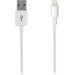 Vivanco Apple iPad/iPhone/iPod Anschlusskabel [1x USB 2.0 Stecker A - 1x Apple Lightning-Stecker] 1.00 m Weiß