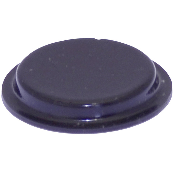 Pied d'appareil TOOLCRAFT PD2204SW autocollant, rond noir (Ø x H) 19.7 mm x 3 mm
