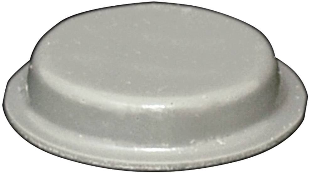Eine runde, flache Metallplatte, leicht gewölbt, grau gefärbt.
