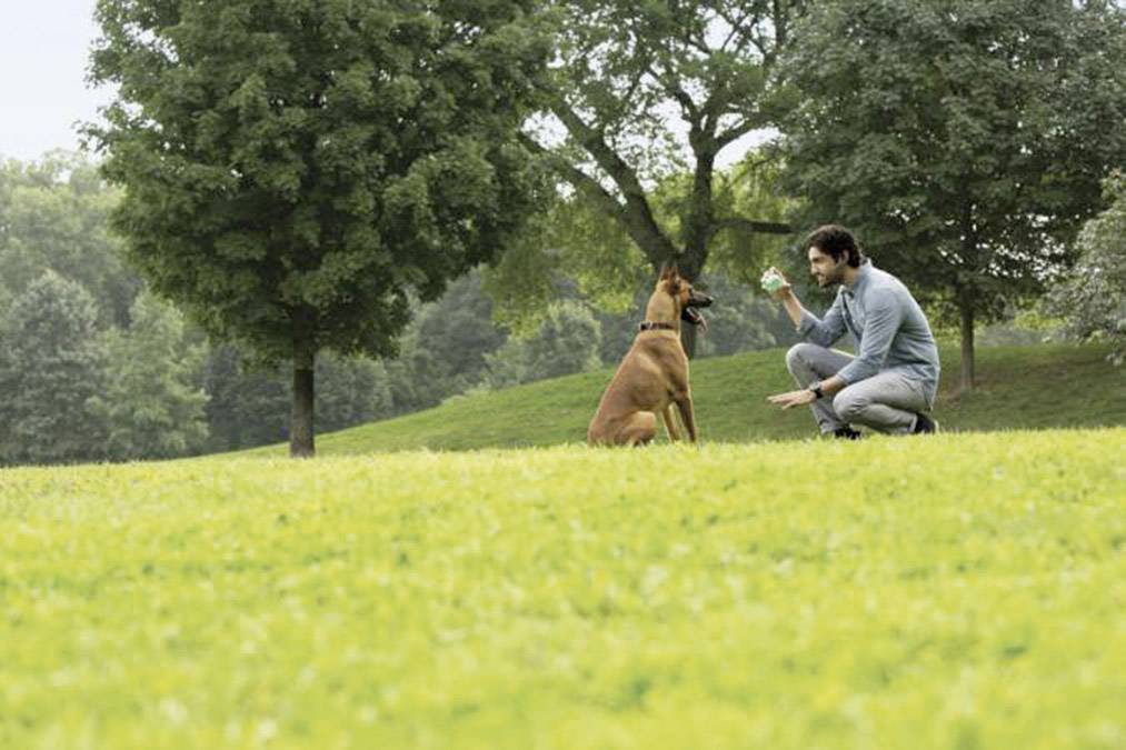 Plantronics Voyager Legend In Ear Headset Bluetooth® Mono Schwarz Noise Cancelling Lautstärkeregelung Handy