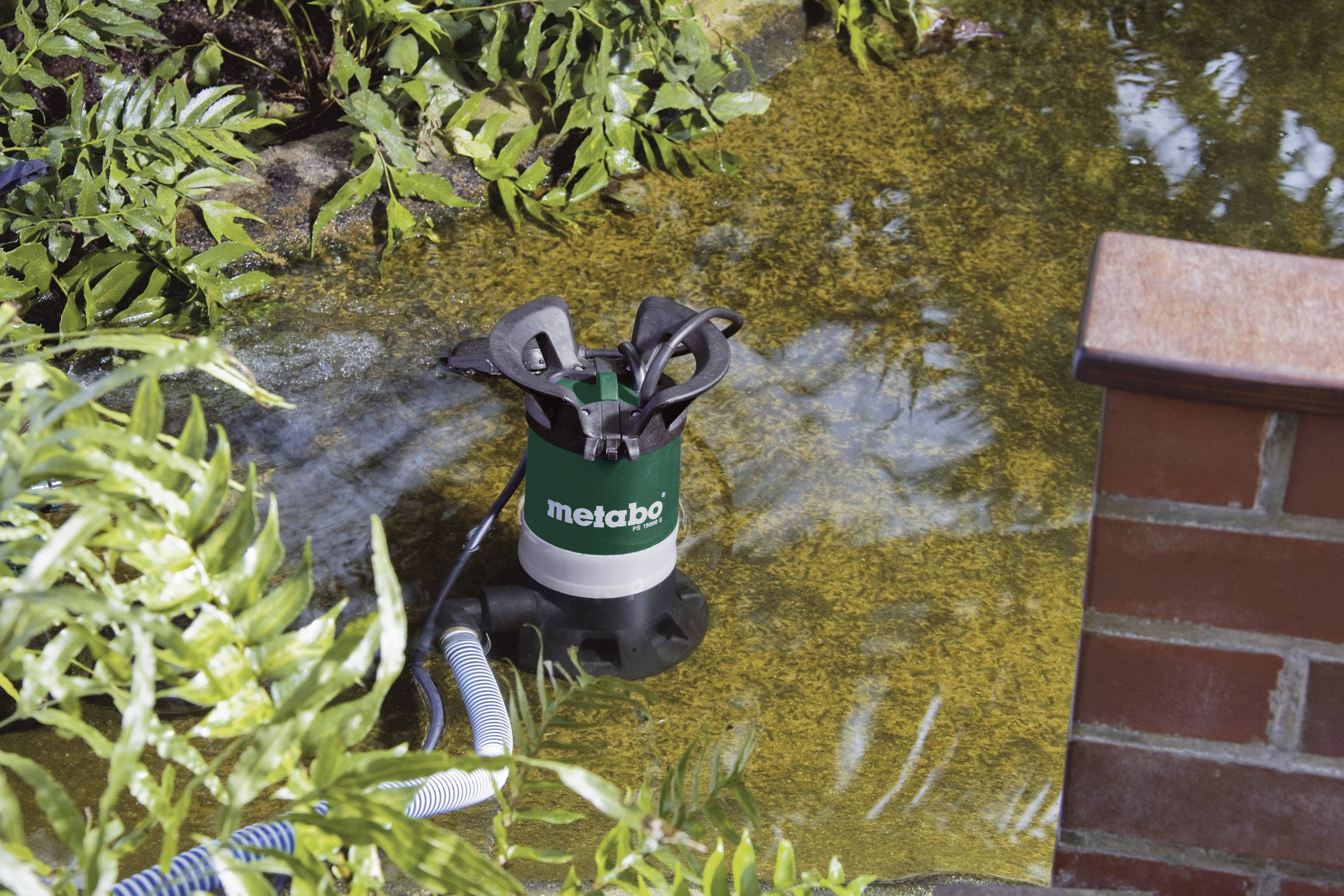 Eine grüne Wasserpumpe steht im Teich, umgeben von Farnen und Ziegelmauerwerk. Ein Schlauch ist an die Pumpe angeschlossen.