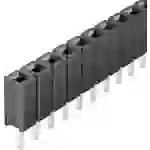 Fischer Elektronik Buchsenleiste (Standard) Anzahl Reihen: 1 Polzahl je Reihe: 36 BL LP 1/ 36/Z Fischer Elektronik Buchsenleiste (Standard) Anzahl Reihen: 1 Polzahl je Reihe: 36 BL LP 1/ 36/Z