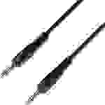 Adam Hall K3IPP0300P Instrumenten Kabel [1x Klinkenstecker 6.35mm - 1x Klinkenstecker 6.35 mm] 3.00m Schwarz