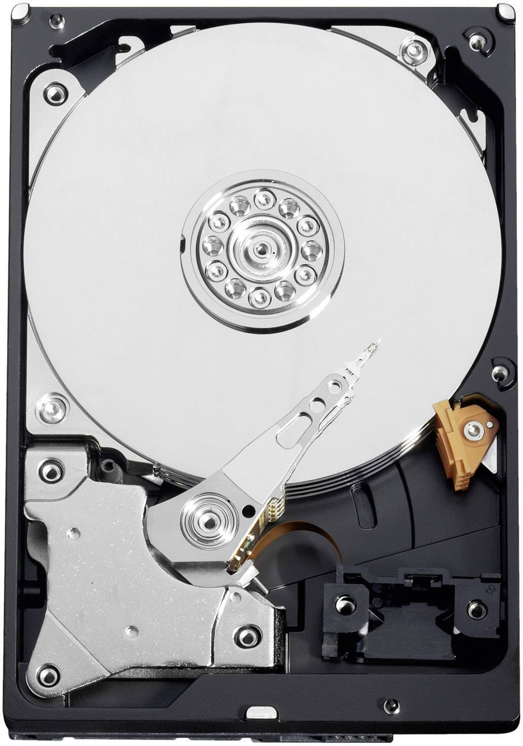 Western Digital Festplatte WD10EARS 5 400 U/min WD Caviar Green