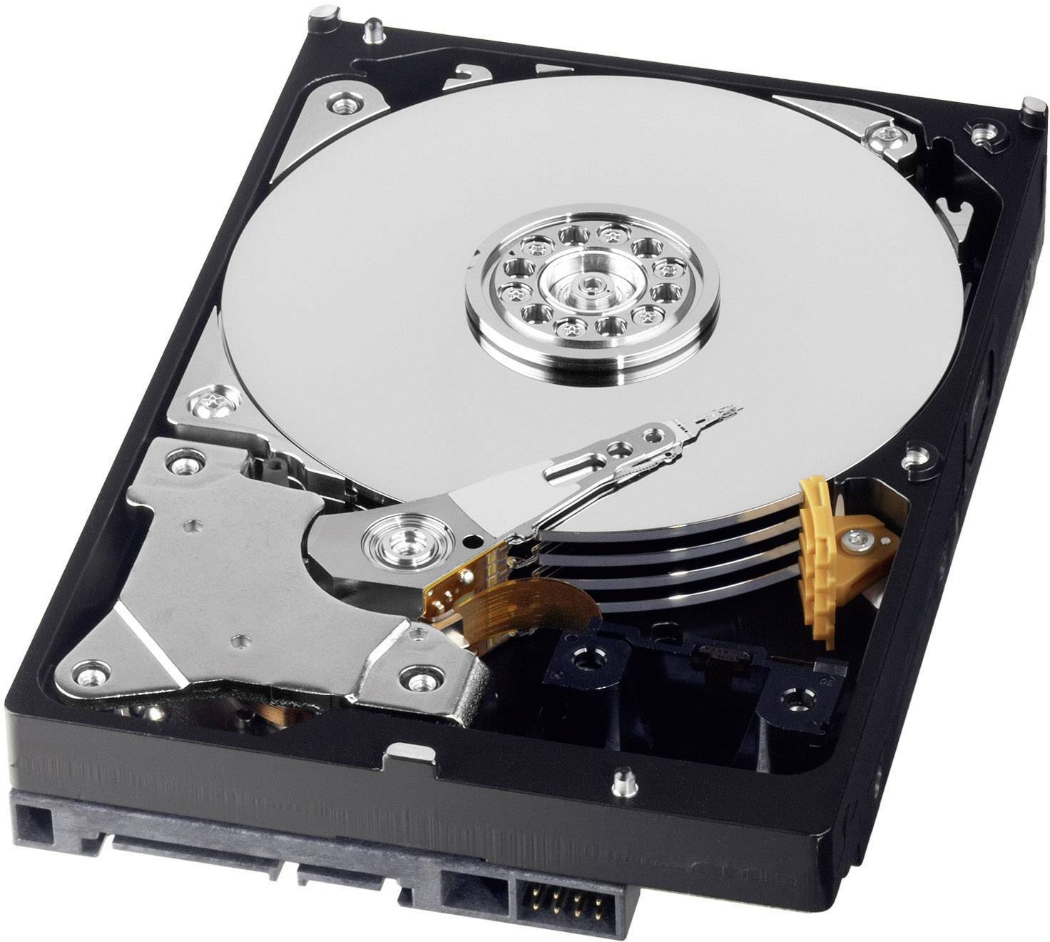 Western Digital Desktop Performance 1 TB Interne Festplatte 8.9 cm (3.5 Zoll) SATA III WDBSLA0010HNC Retail