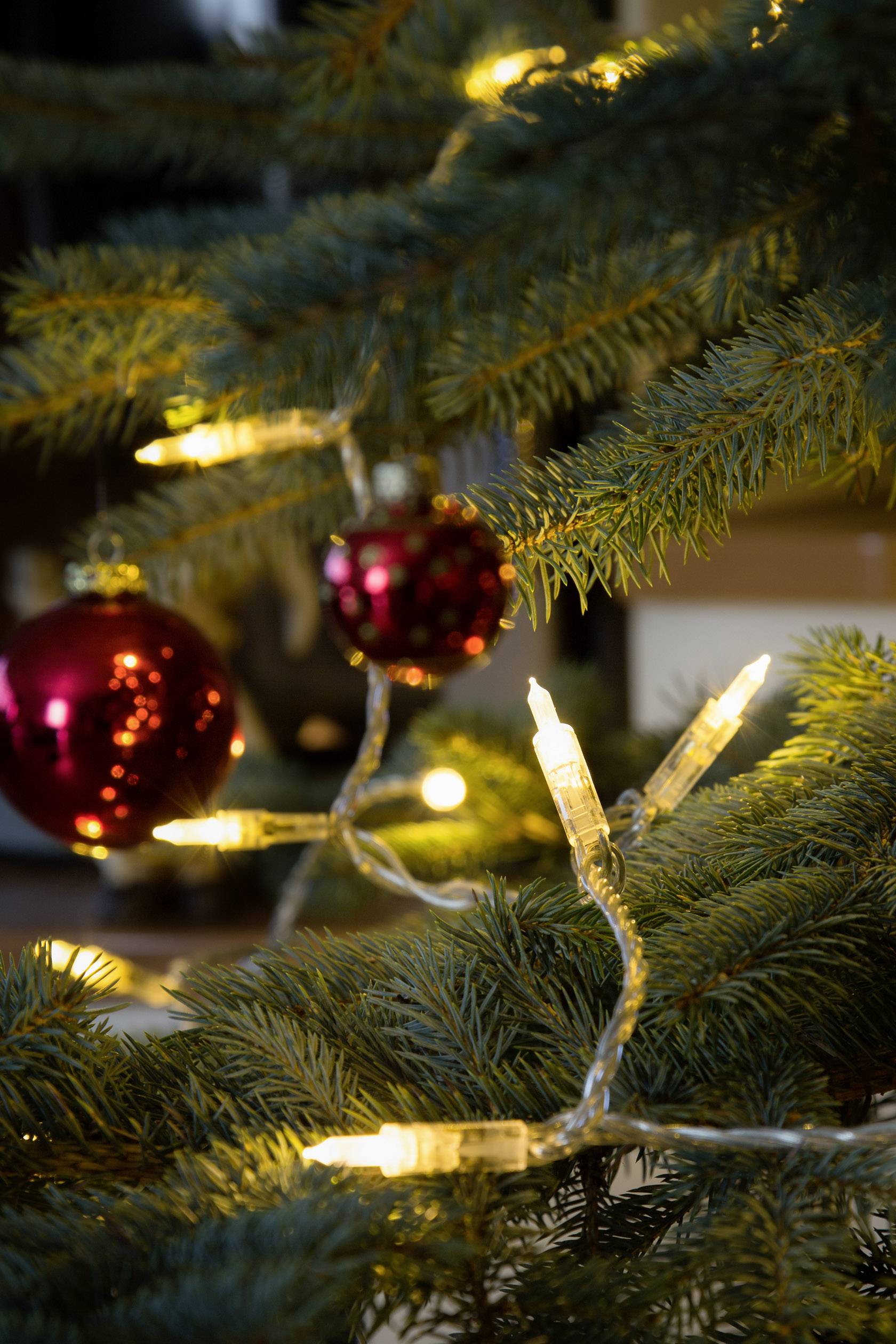 Konstsmide 6304-123 Mini-Lichterkette Innen EEK: F (A - G) netzbetrieben Anzahl Leuchtmittel 100 LED Warmweiß