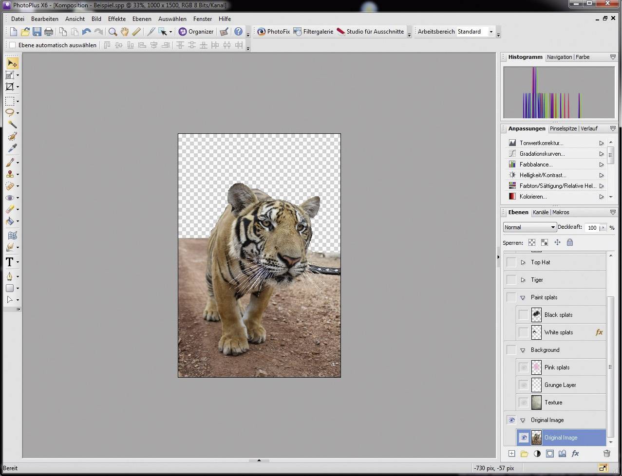 Avanquest PhotoPlus X6 Special Edition Vollversion, 1 Lizenz Windows Bildbearbeitung