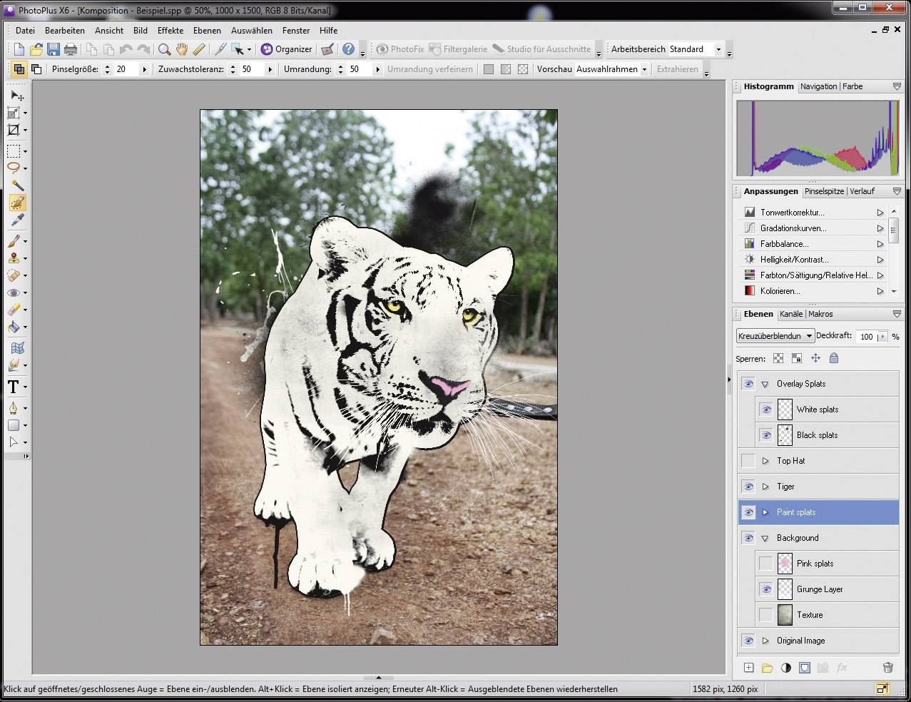 Avanquest PhotoPlus X6 Special Edition Vollversion, 1 Lizenz Windows Bildbearbeitung