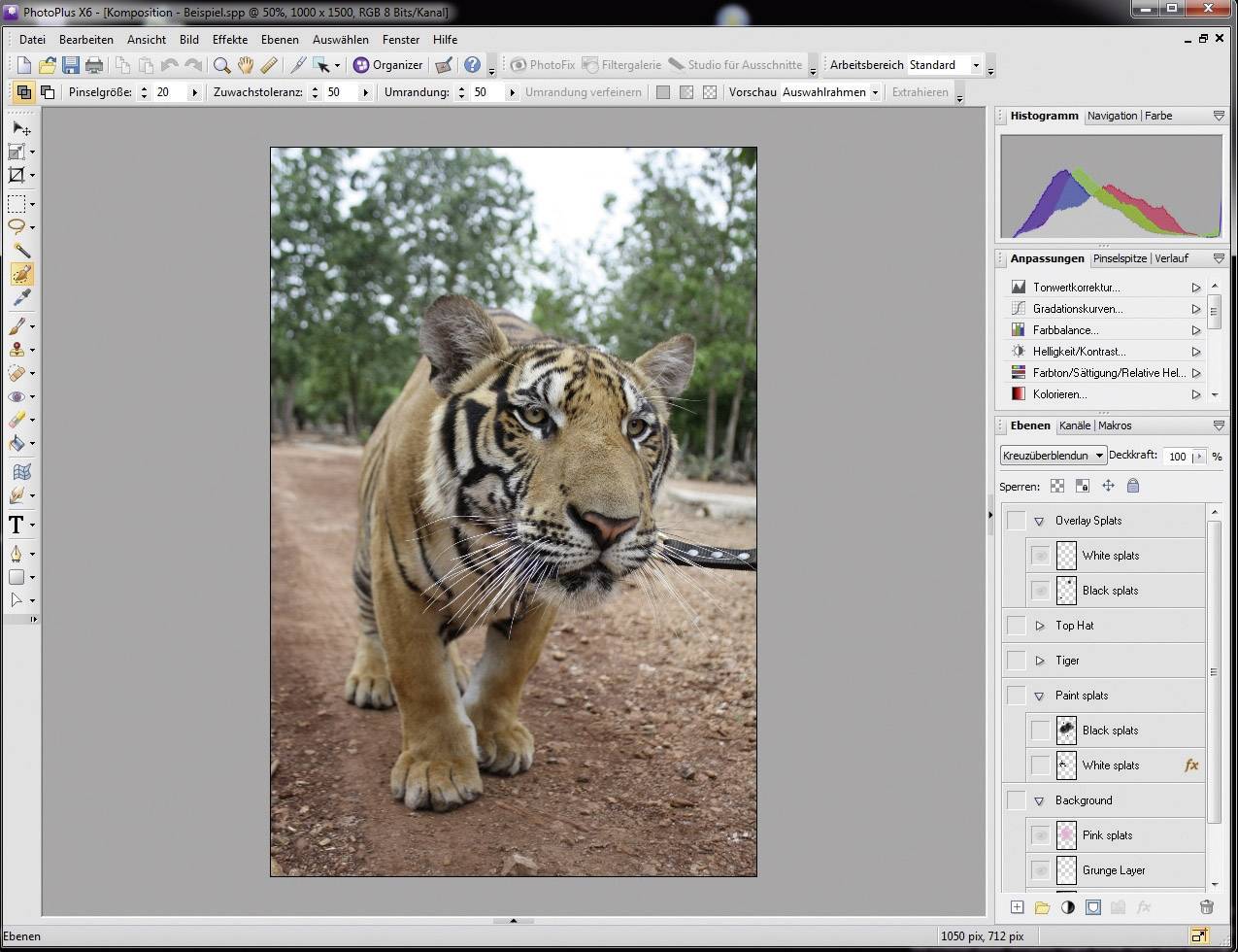 Avanquest PhotoPlus X6 Special Edition Vollversion, 1 Lizenz Windows Bildbearbeitung