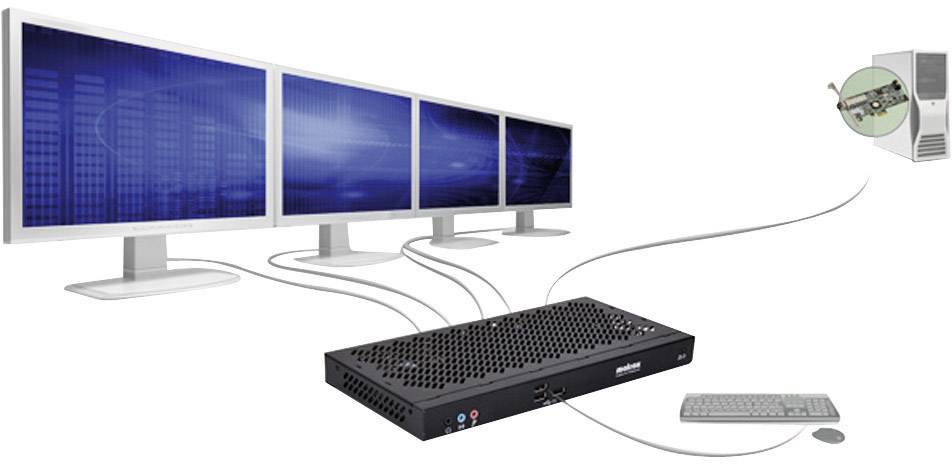 Matrox Workstation-Grafikkarte Extio F2408 DisplayPort