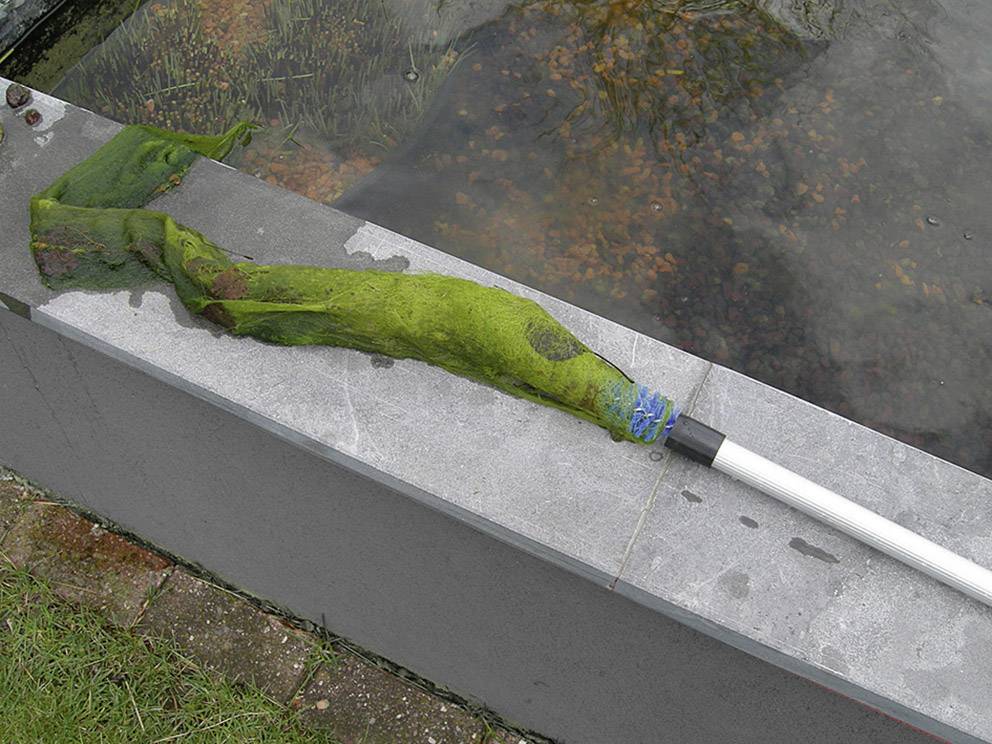 FIAP 2363 Algenbürste 1St.