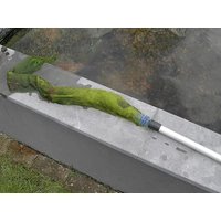 FIAP 2363 Algenbürste 1St. FIAP 2363 Algenbürste 1St.