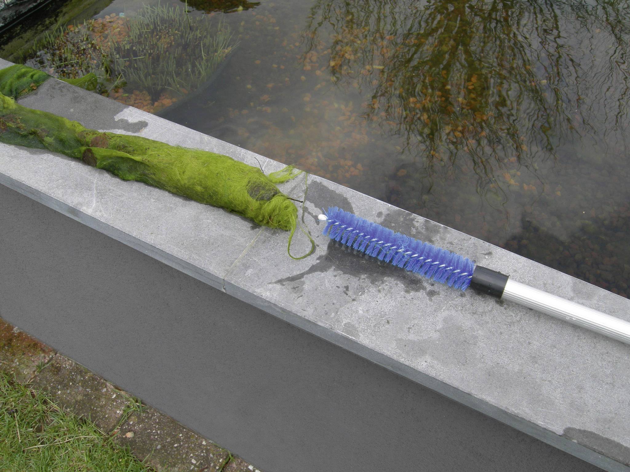 FIAP 2363 Algenbürste 1St.