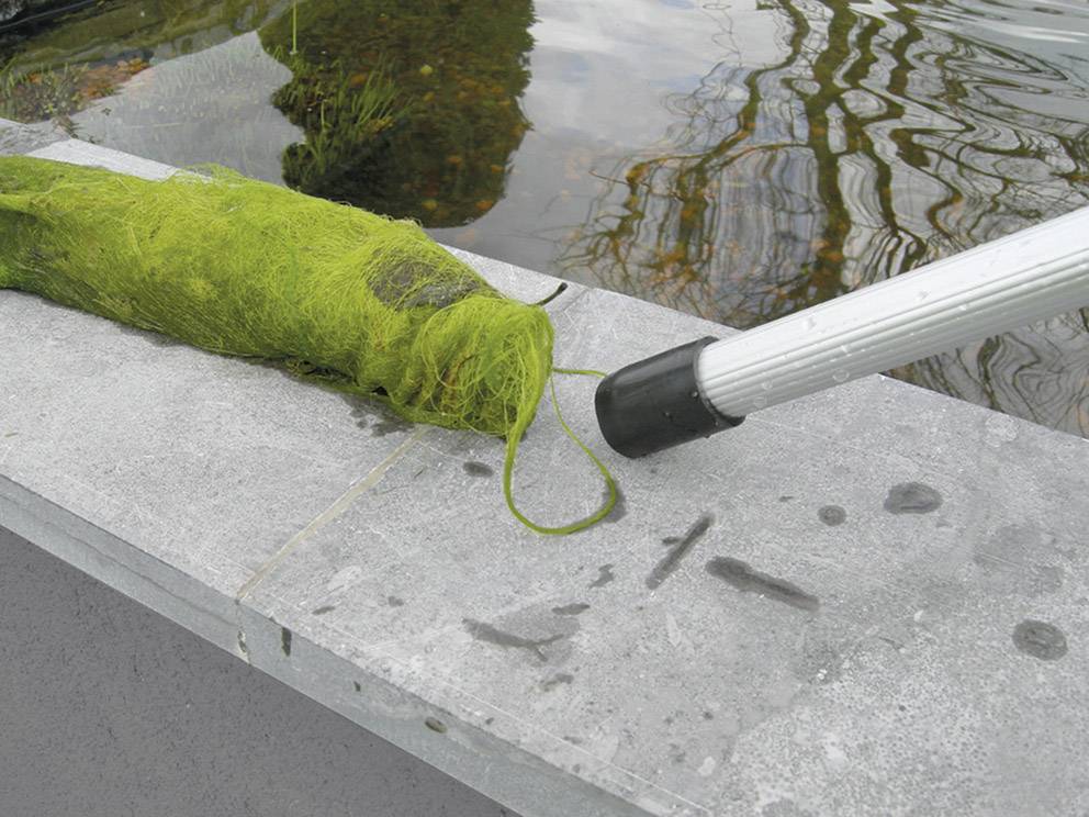 Ein Netz mit grünen Algen liegt auf einer Steinmauer neben einem Teich. Ein Stab mit einem schwarzen Ende ist daneben zu sehen.