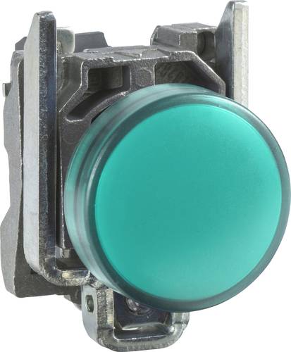 Schneider Electric XB4BVB3 Meldeleuchte Grün 24 V/DC, 24 V/AC 1 St.